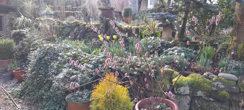 Fern Bank